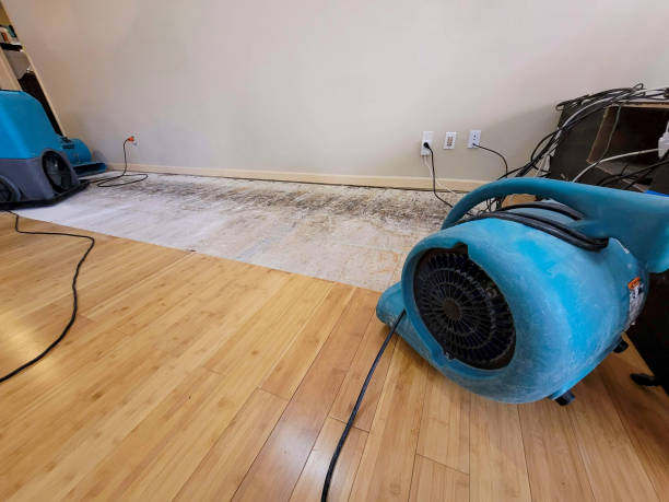 Professional Flood Damage Cleanup technician working in Parowan, UT